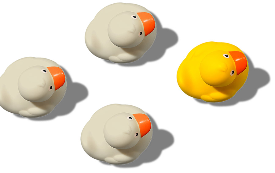 patitos-en-fila